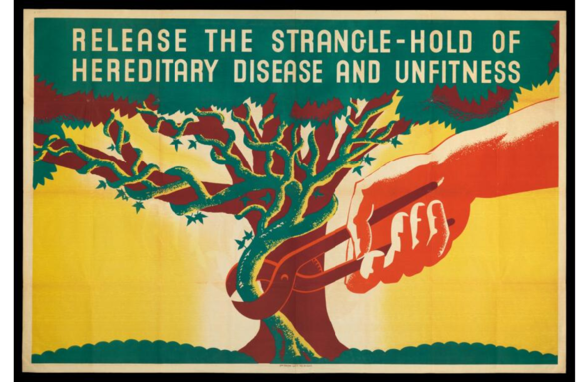 https://commons.wikimedia.org/wiki/File:Eugenics_Society_Poster_(1930s).png